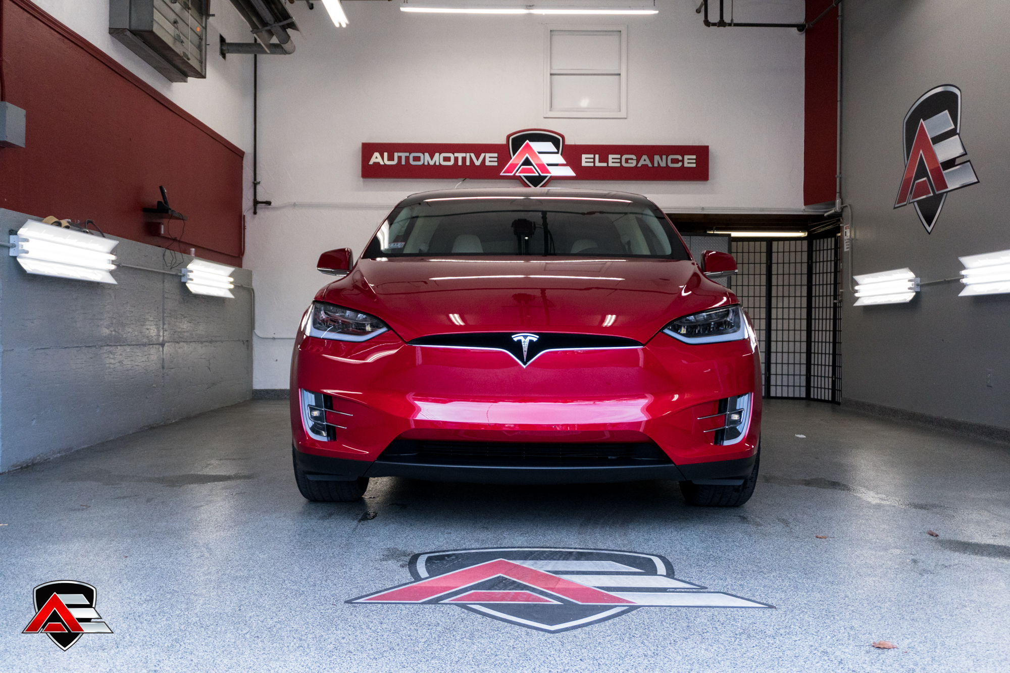 paint protection film